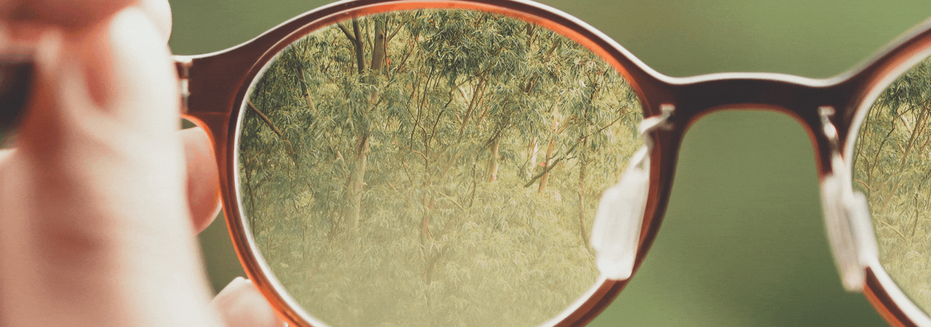 NICOA Compass: A Guide to Native Wellness